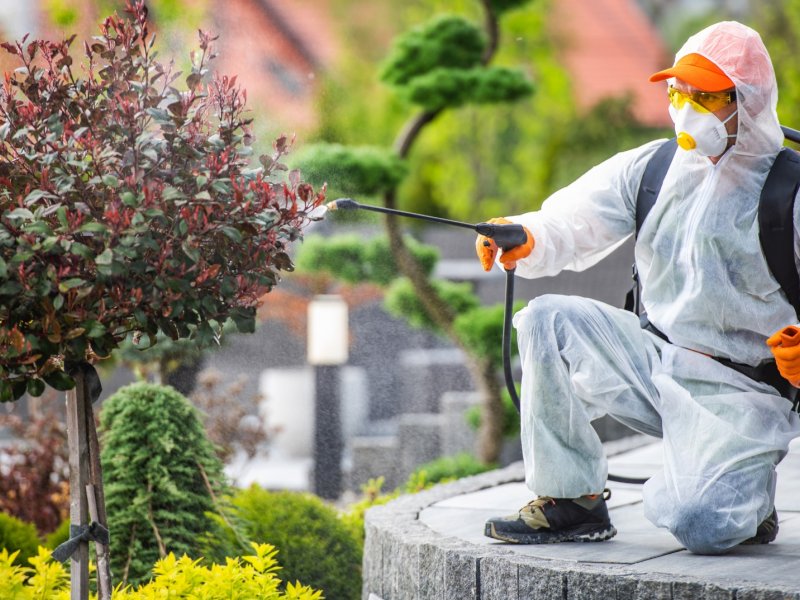 Datça Haşere İlaçlama