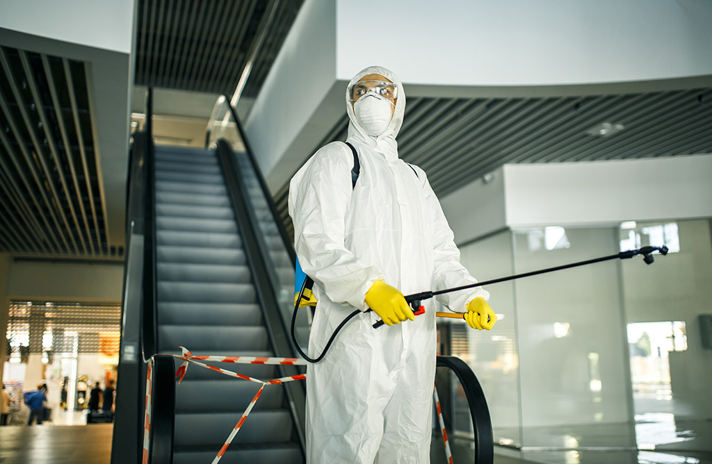 Datça Haşere İlaçlama